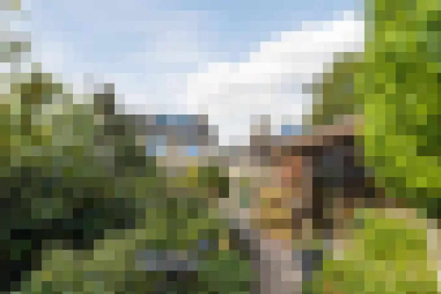 Ambachtsheerelaan 48 Harmelen thumbnail 54