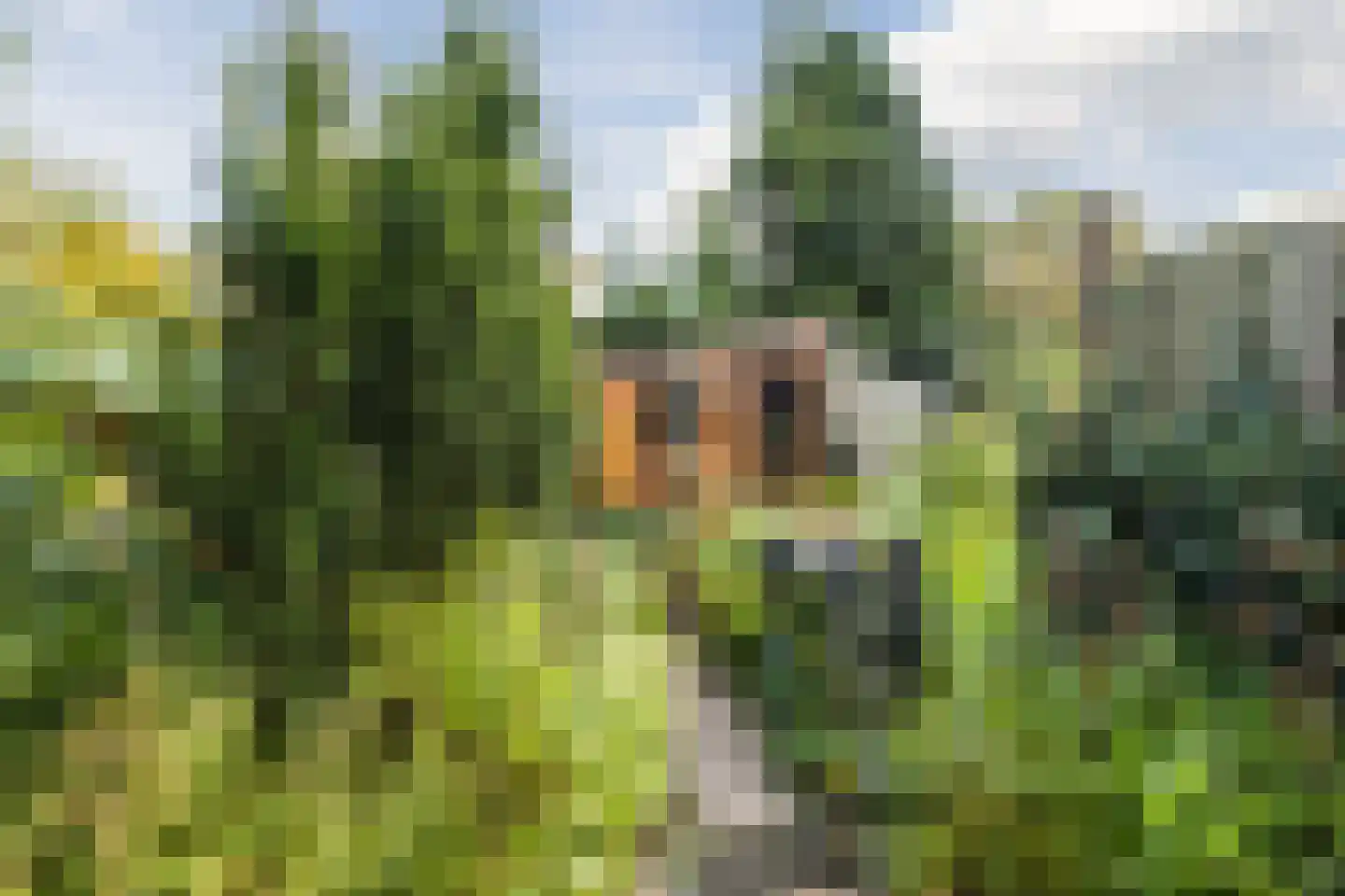 Ambachtsheerelaan 48 Harmelen thumbnail 55