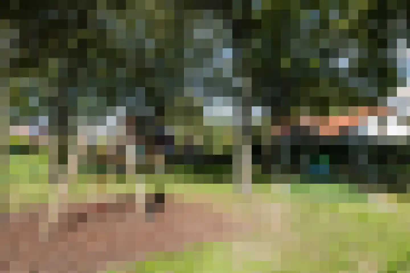 Ambachtsheerelaan 48 Harmelen thumbnail 72