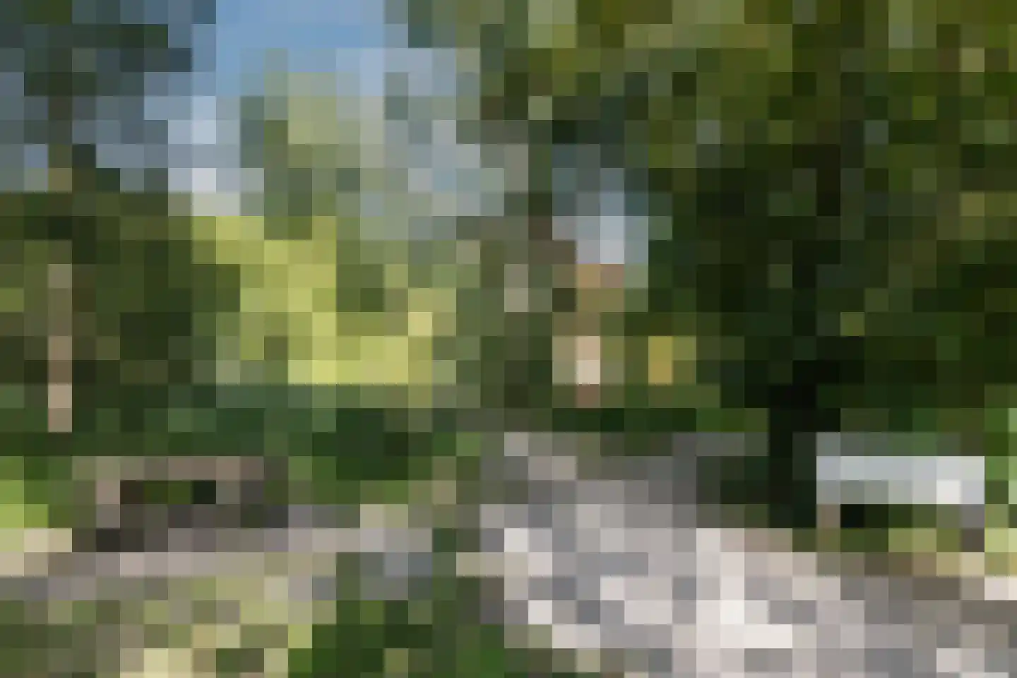 Ambachtsheerelaan 48 Harmelen thumbnail 76