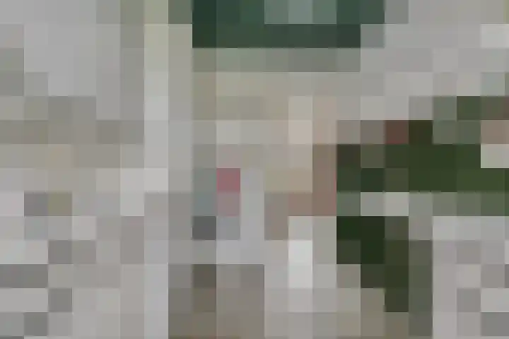 Ambachtsheerelaan 72 Harmelen thumbnail 10