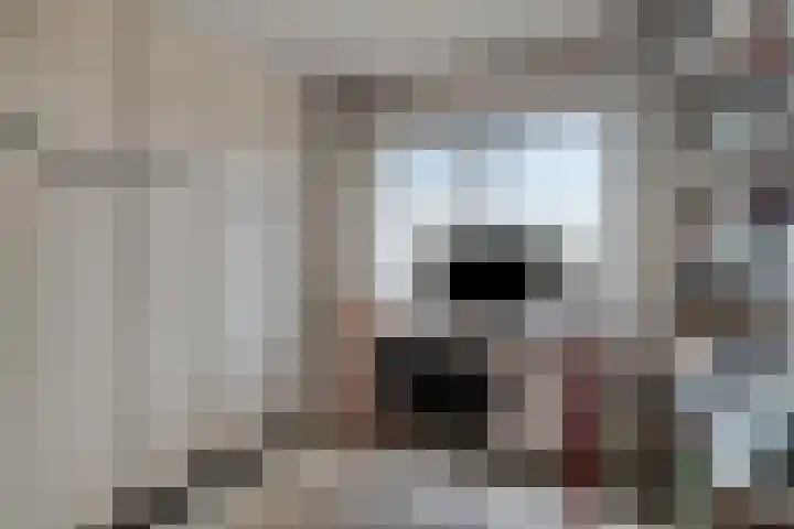 Ambachtsheerelaan 72 Harmelen thumbnail 14