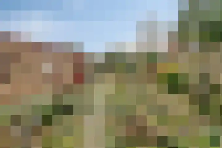 Ambachtsheerelaan 72 Harmelen thumbnail 23