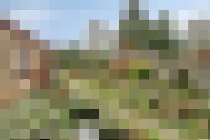Ambachtsheerelaan 72 Harmelen thumbnail 24