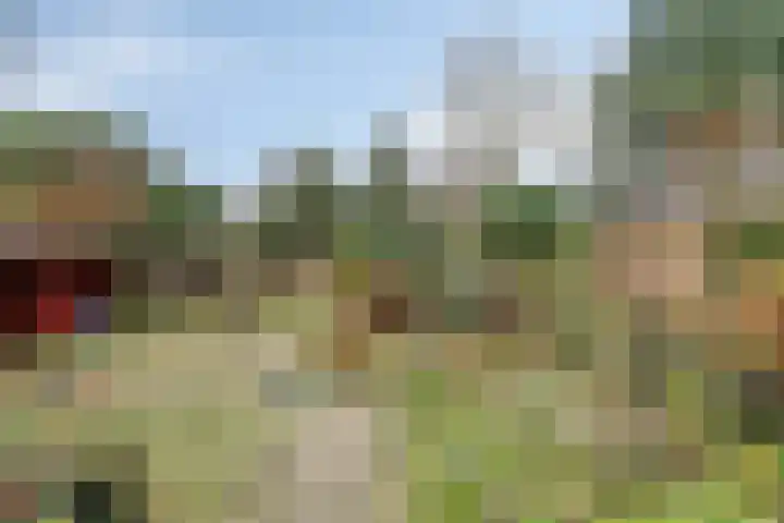 Ambachtsheerelaan 72 Harmelen thumbnail 25