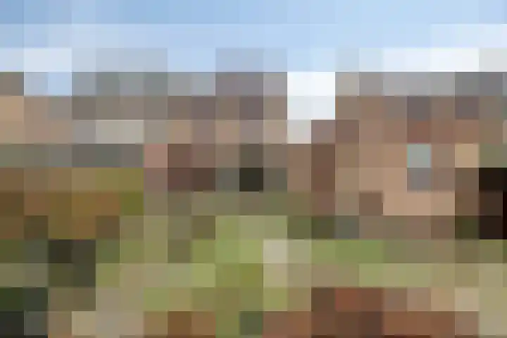 Ambachtsheerelaan 72 Harmelen thumbnail 27