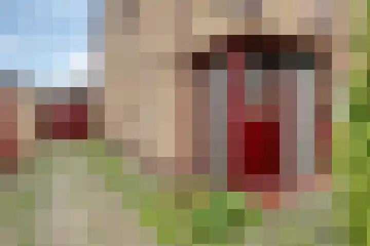 Ambachtsheerelaan 72 Harmelen thumbnail 28