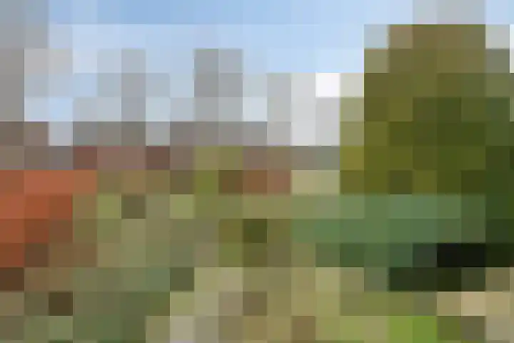Ambachtsheerelaan 72 Harmelen thumbnail 32