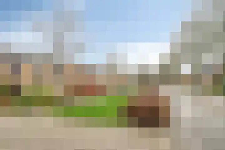 Ambachtsheerelaan 72 Harmelen thumbnail 33
