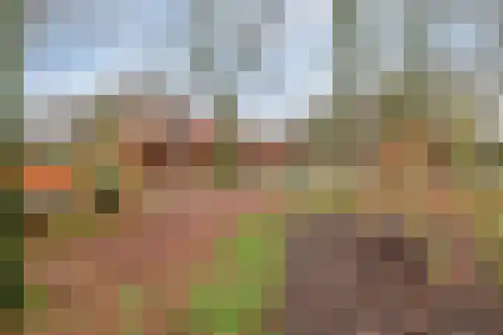 Ambachtsheerelaan 72 Harmelen thumbnail 34