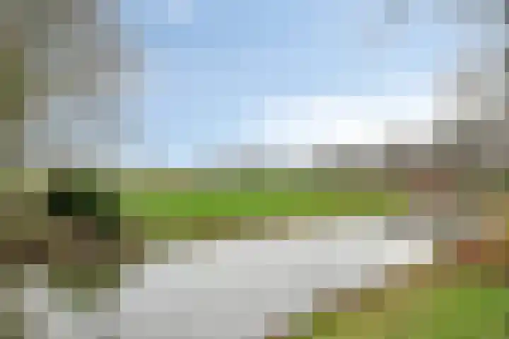 Ambachtsheerelaan 72 Harmelen thumbnail 35