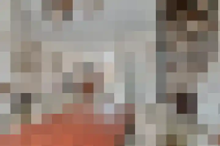 Ambachtsheerelaan 72 Harmelen thumbnail 4