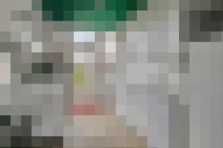Ambachtsheerelaan 72 Harmelen thumbnail 9
