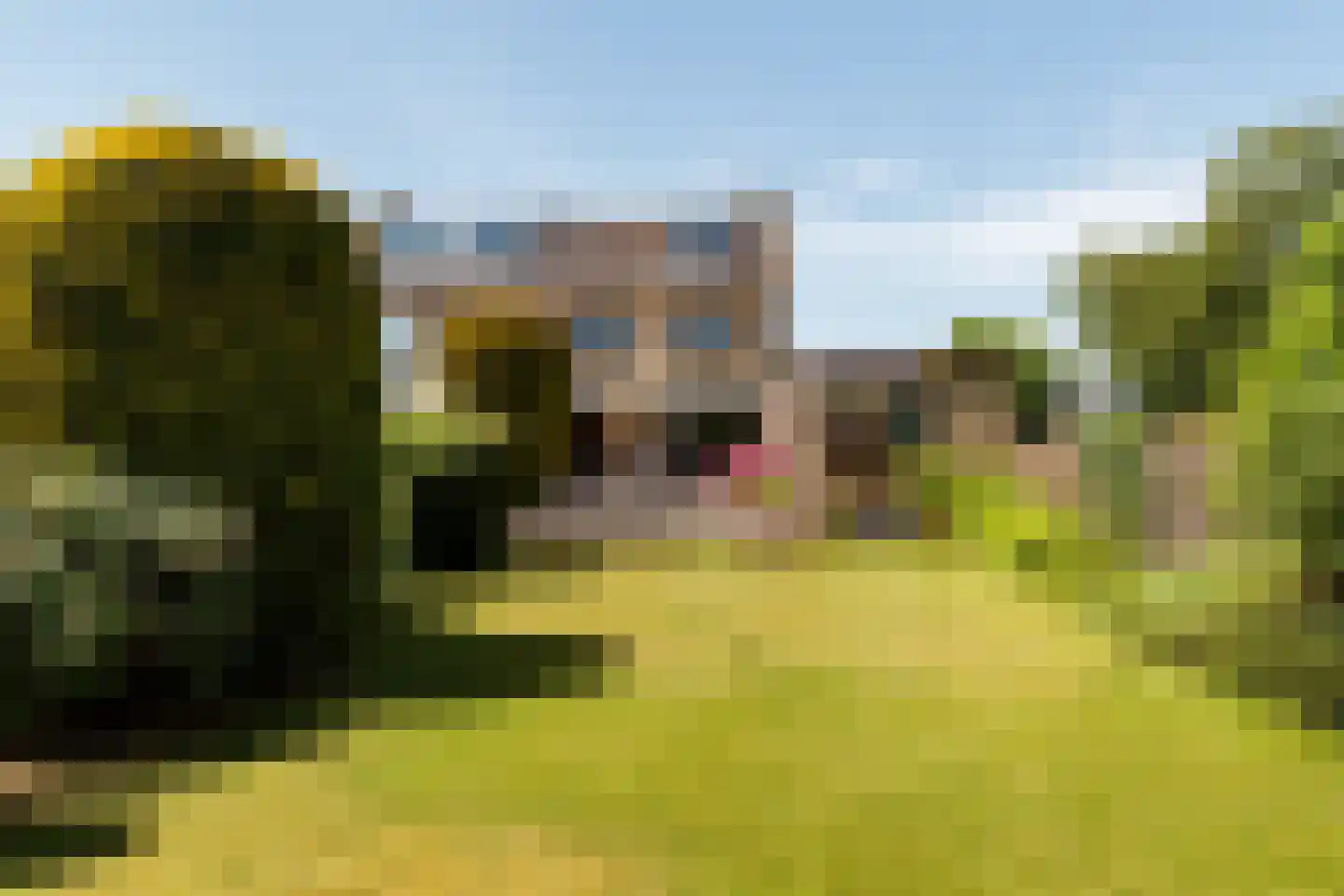 Ambachtsheerelaan 84 Harmelen thumbnail 23