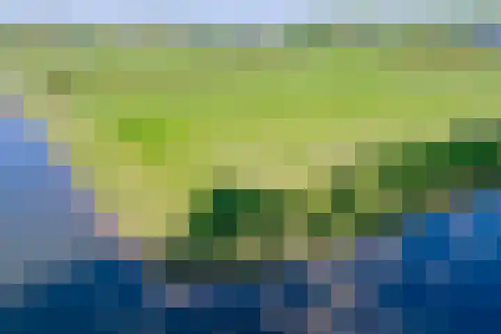 Ambachtsheerenlaan 5 A Numansdorp thumbnail 10