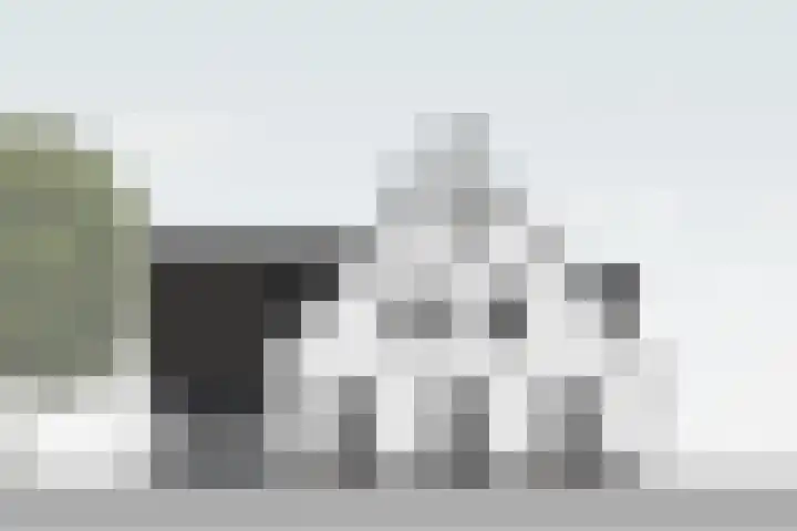 Ambachtsheerenlaan 5 A Numansdorp thumbnail 5