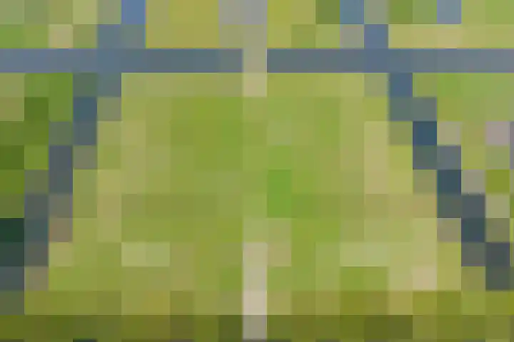 Ambachtsheerenlaan 5 A Numansdorp thumbnail 7