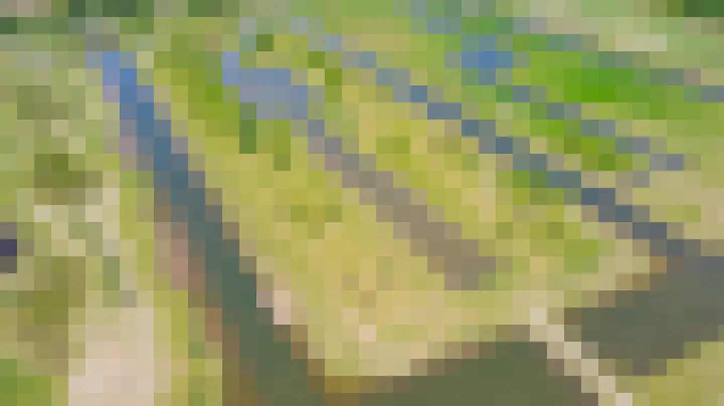 Ambachtsheerenlaan 5 Numansdorp thumbnail 11