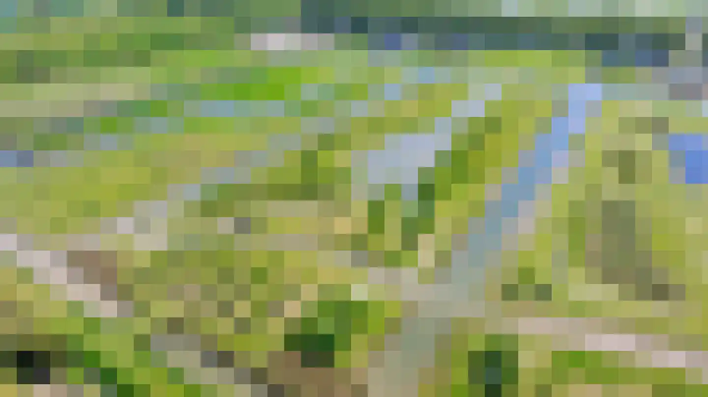 Ambachtsheerenlaan 5 Numansdorp thumbnail 12