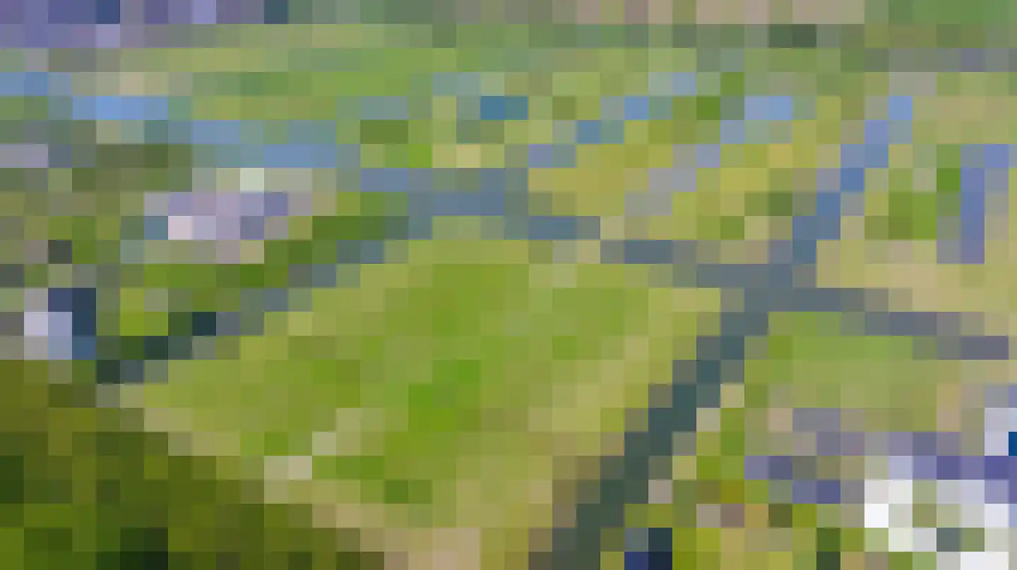 Ambachtsheerenlaan 5 Numansdorp thumbnail 14
