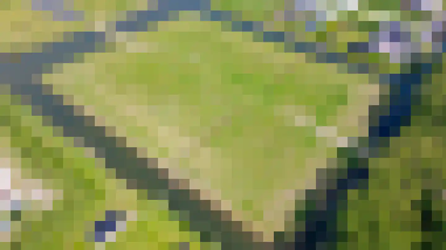 Ambachtsheerenlaan 5 Numansdorp thumbnail 4