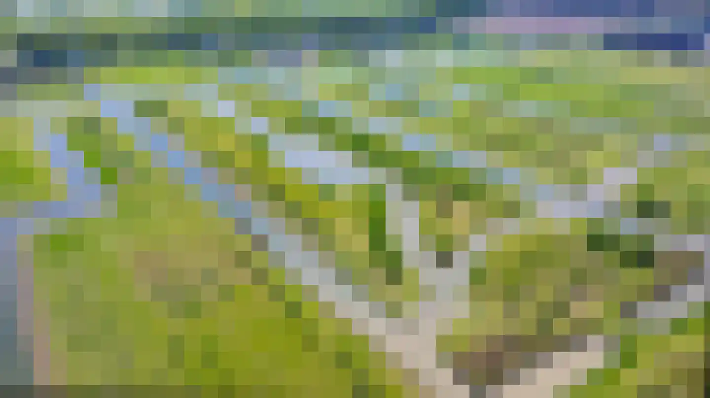Ambachtsheerenlaan 5 Numansdorp thumbnail 5