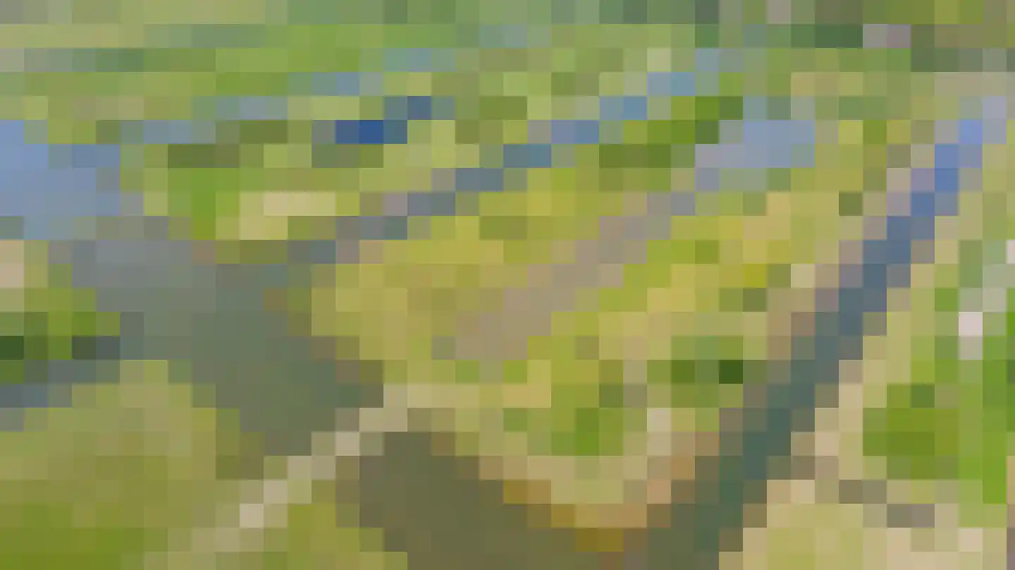 Ambachtsheerenlaan 5 Numansdorp thumbnail 9