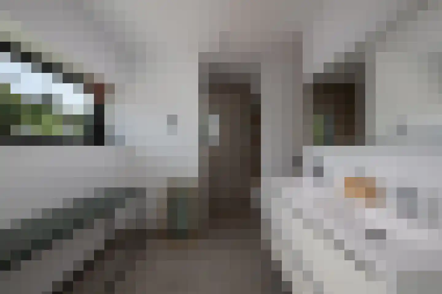 Ambachtsheerenlaan 9 Numansdorp thumbnail 17