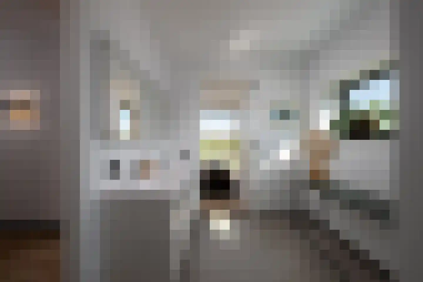 Ambachtsheerenlaan 9 Numansdorp thumbnail 18