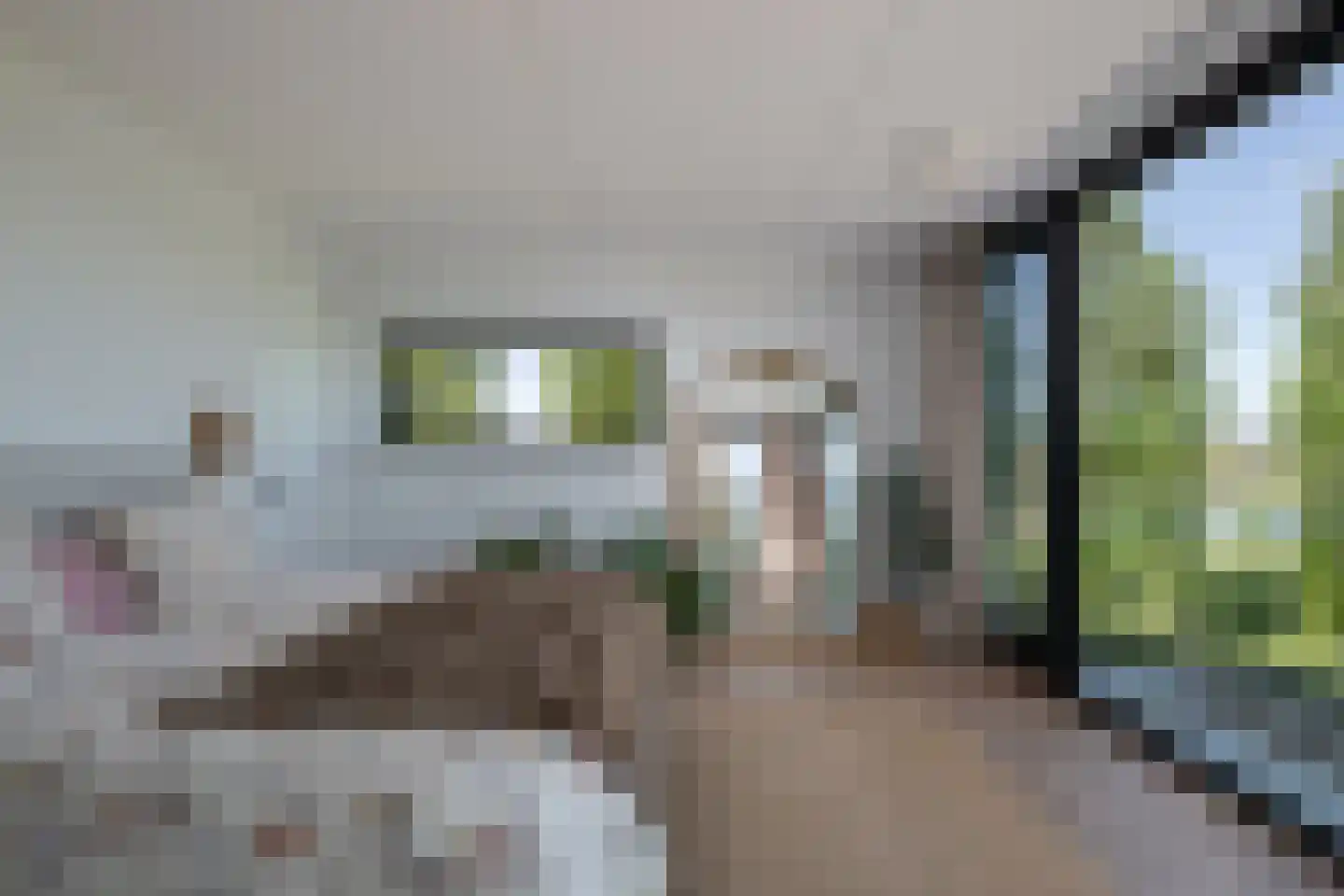 Ambachtsheerenlaan 9 Numansdorp thumbnail 21