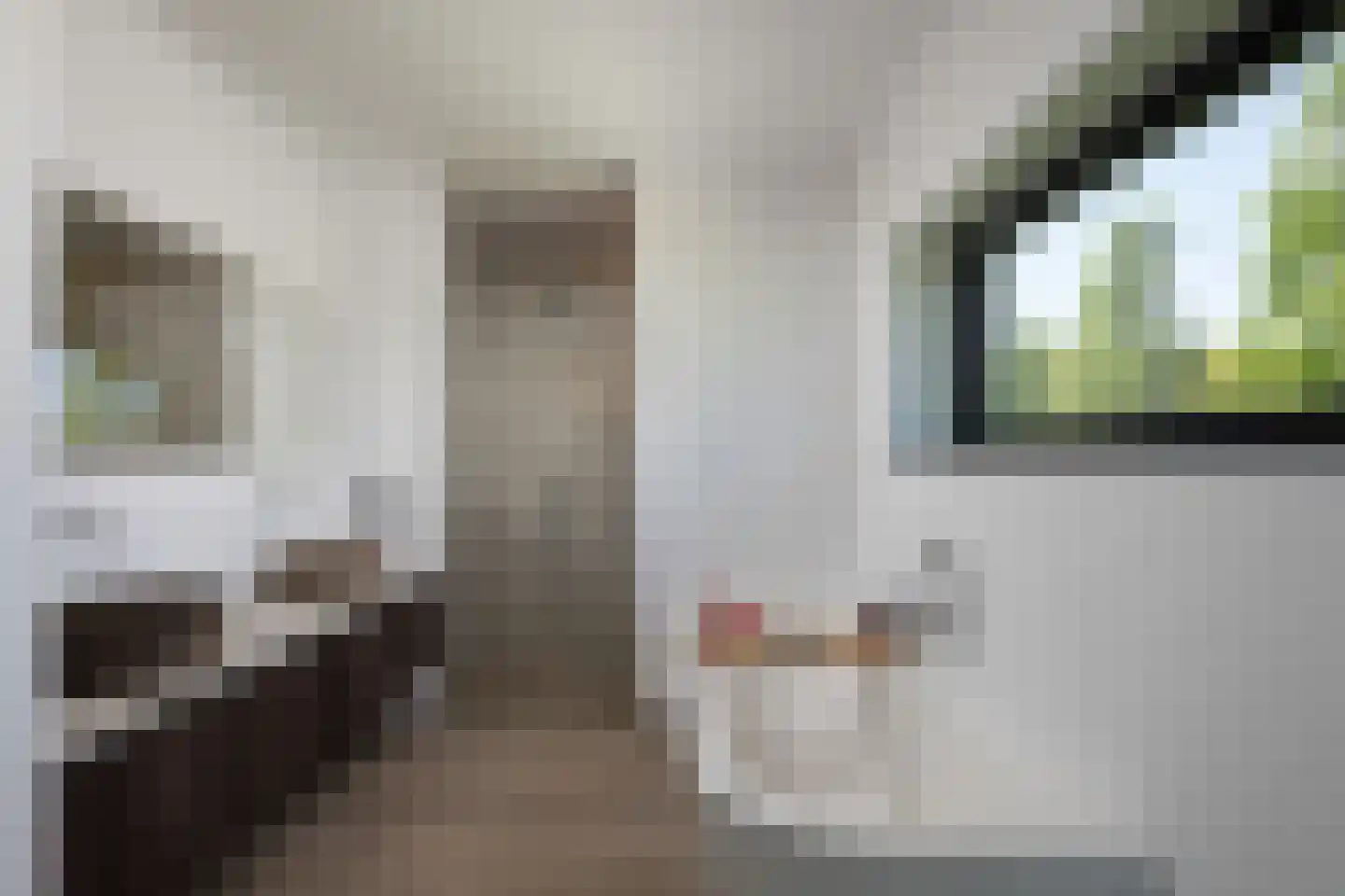 Ambachtsheerenlaan 9 Numansdorp thumbnail 22