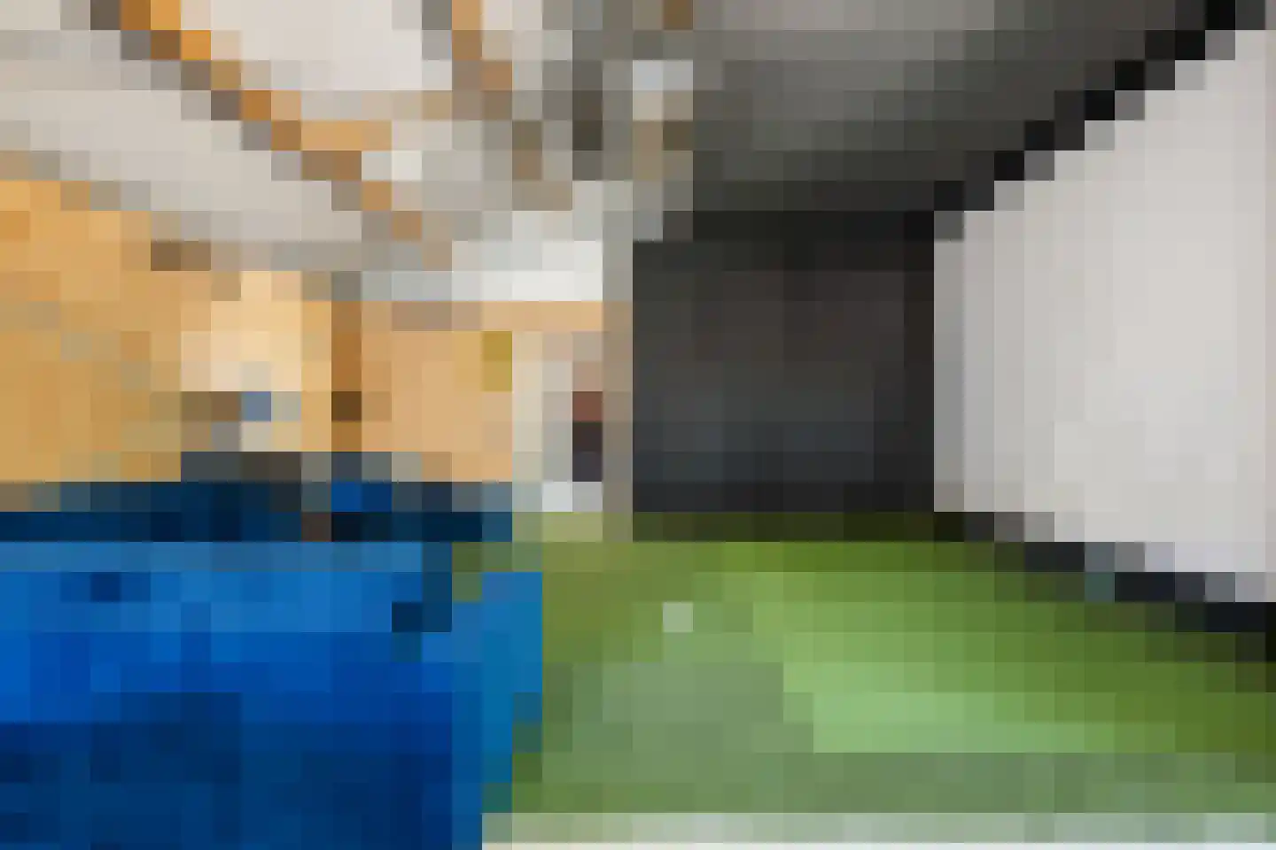 Ambachtsheerenlaan 9 Numansdorp thumbnail 43
