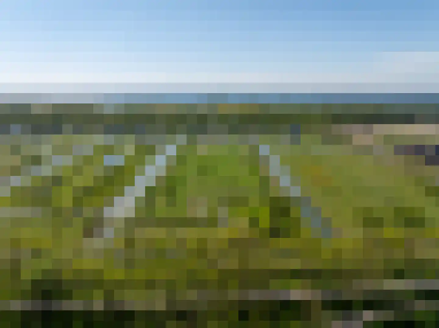 Ambachtsheerenlaan 9 Numansdorp thumbnail 53