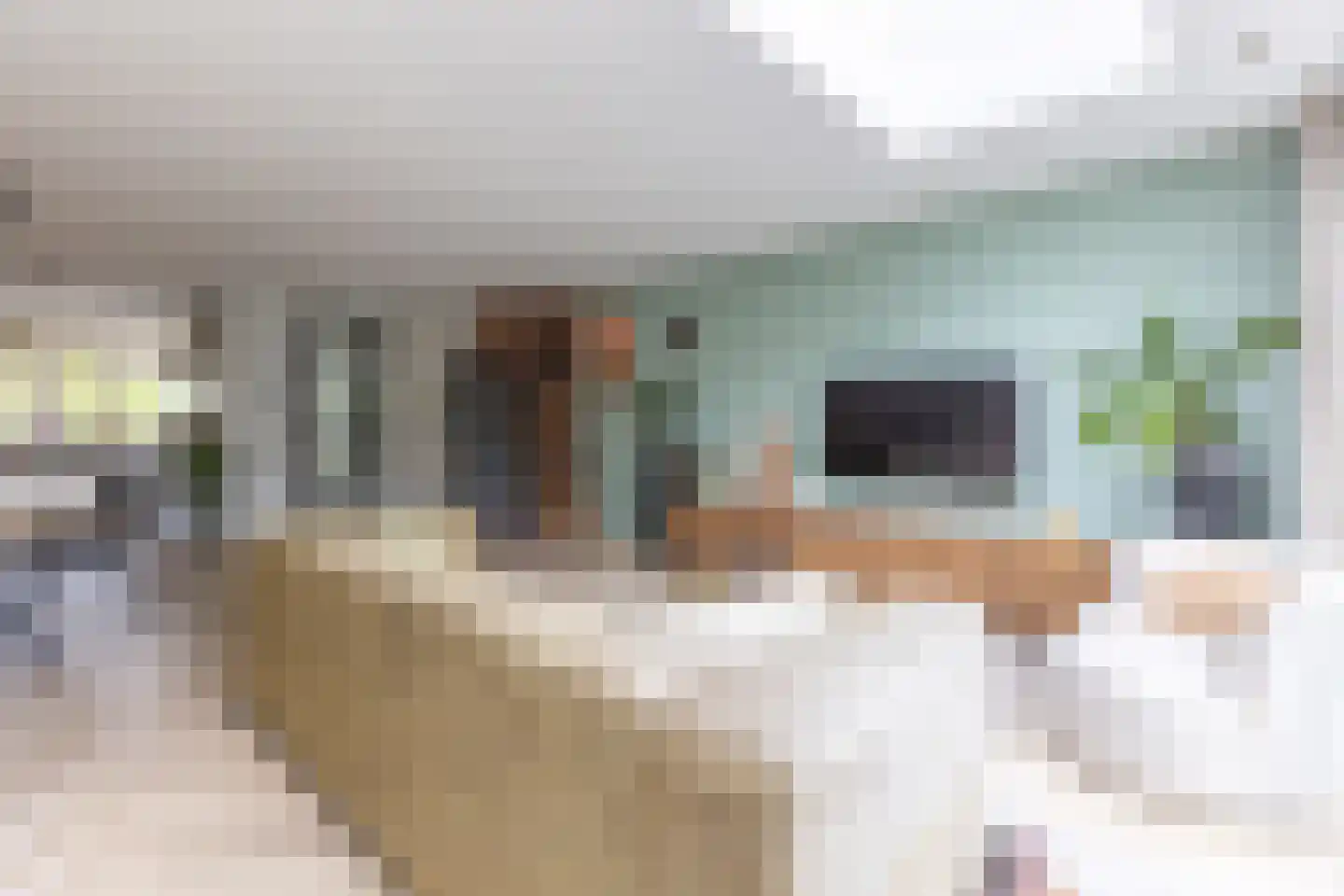 Ambachtsheerensingel 38 Nigtevecht thumbnail 12