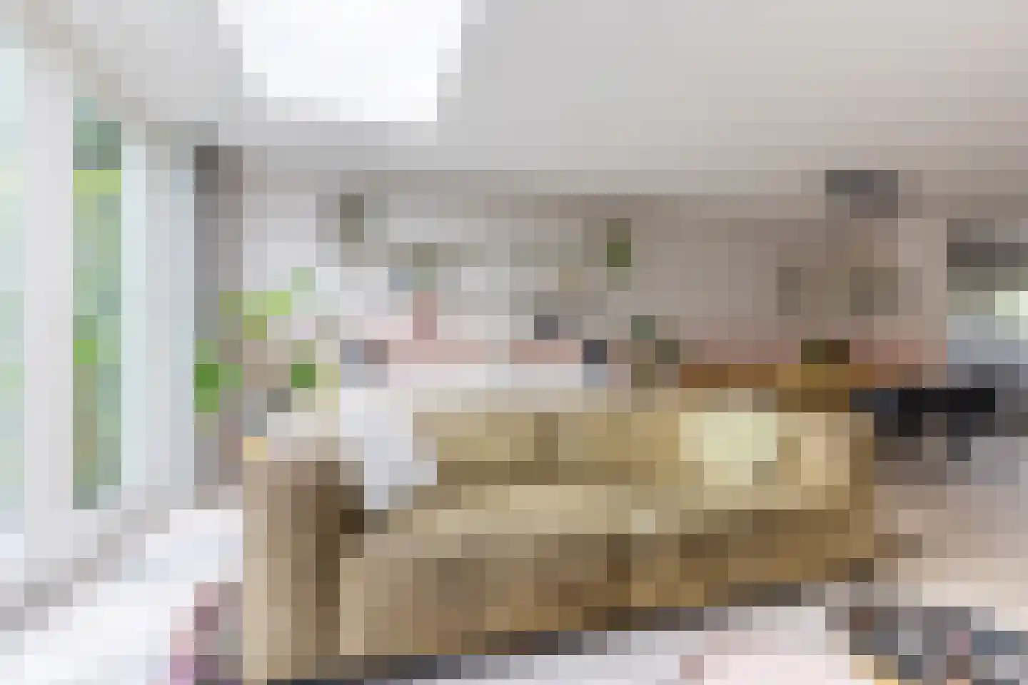 Ambachtsheerensingel 38 Nigtevecht thumbnail 13