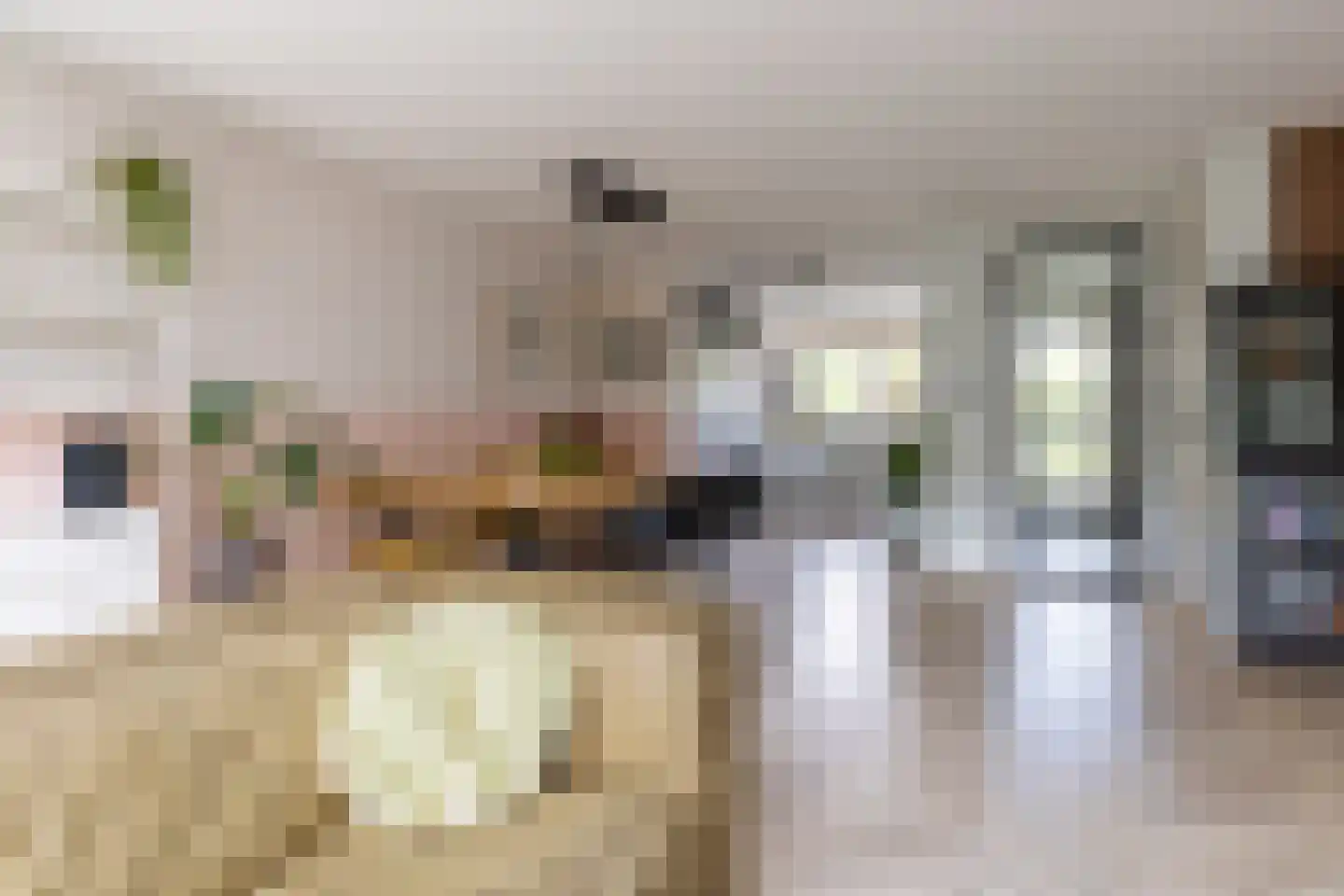 Ambachtsheerensingel 38 Nigtevecht thumbnail 15