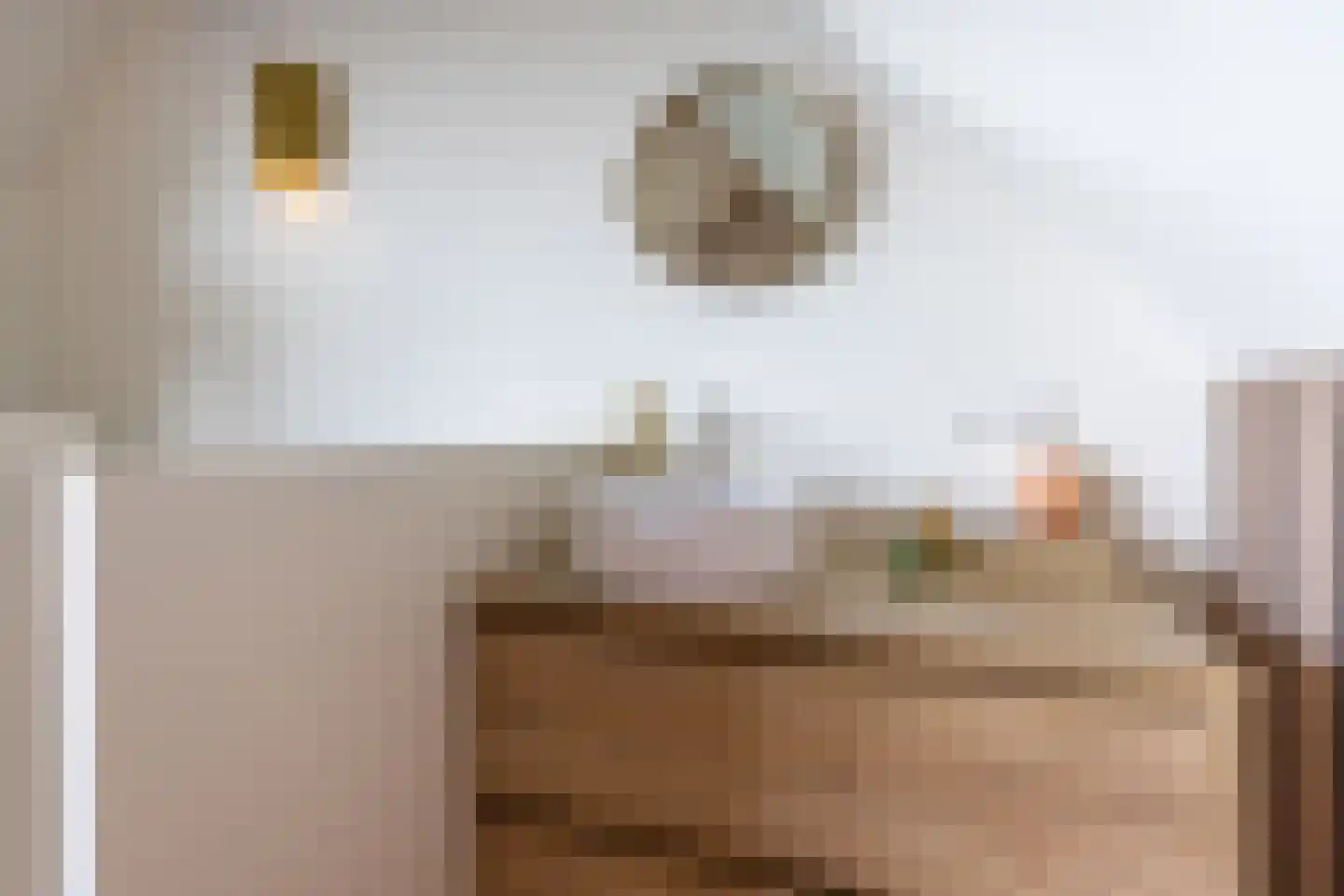 Ambachtsheerensingel 38 Nigtevecht thumbnail 37