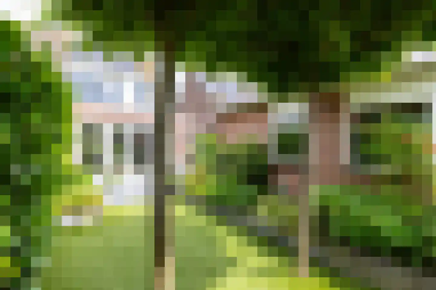 Ambachtsheerensingel 38 Nigtevecht thumbnail 42