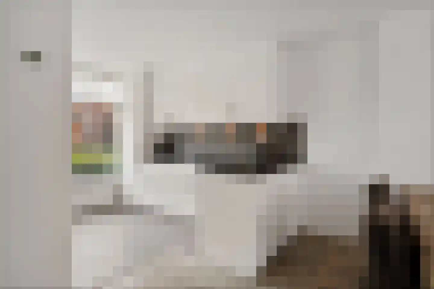 Ambachtsherenlaan 111 Zoetermeer thumbnail 18