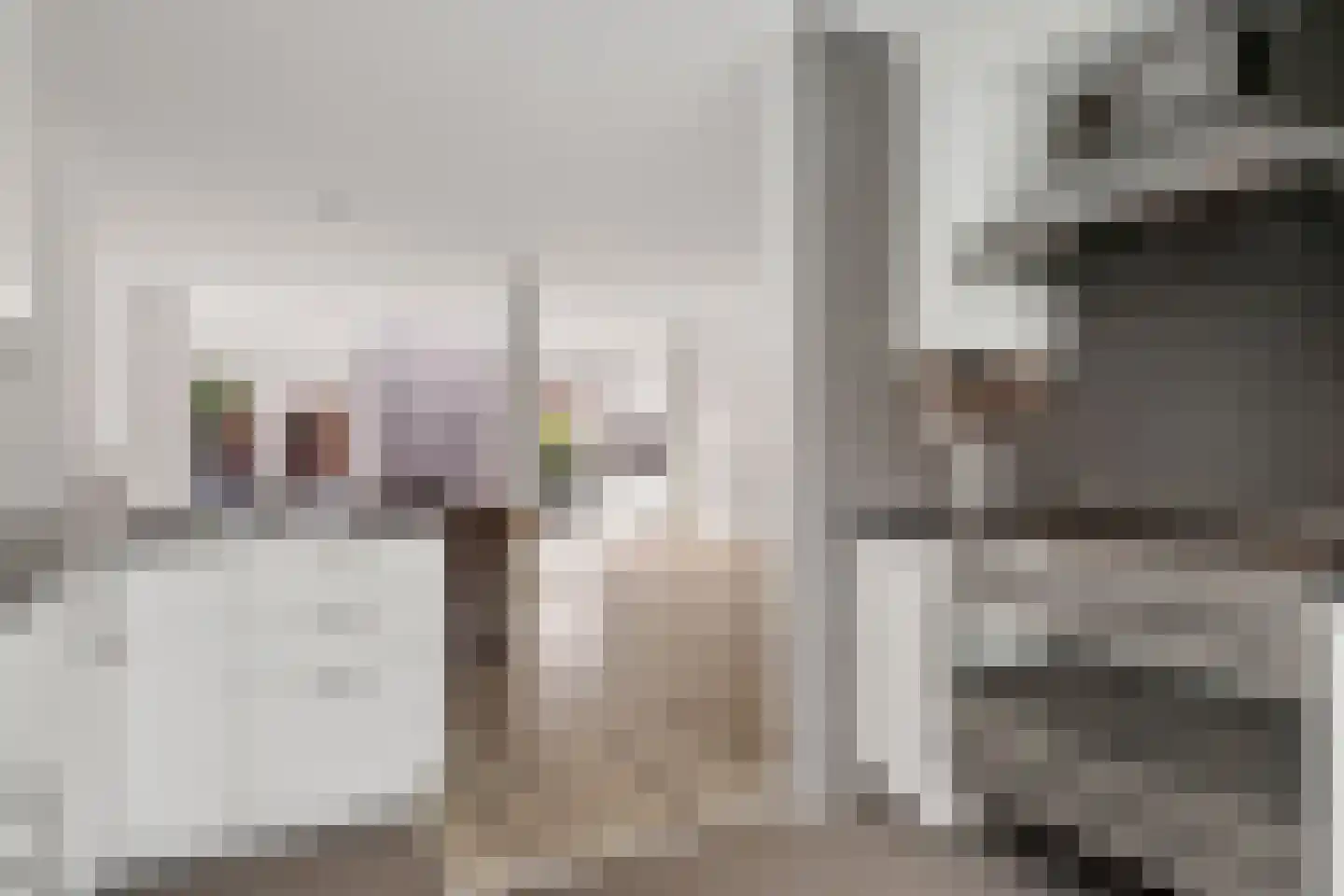 Ambachtsherenlaan 111 Zoetermeer thumbnail 20