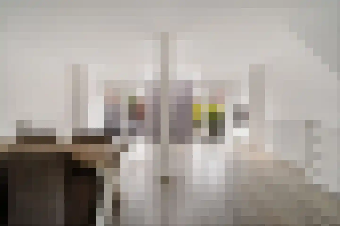 Ambachtsherenlaan 111 Zoetermeer thumbnail 21