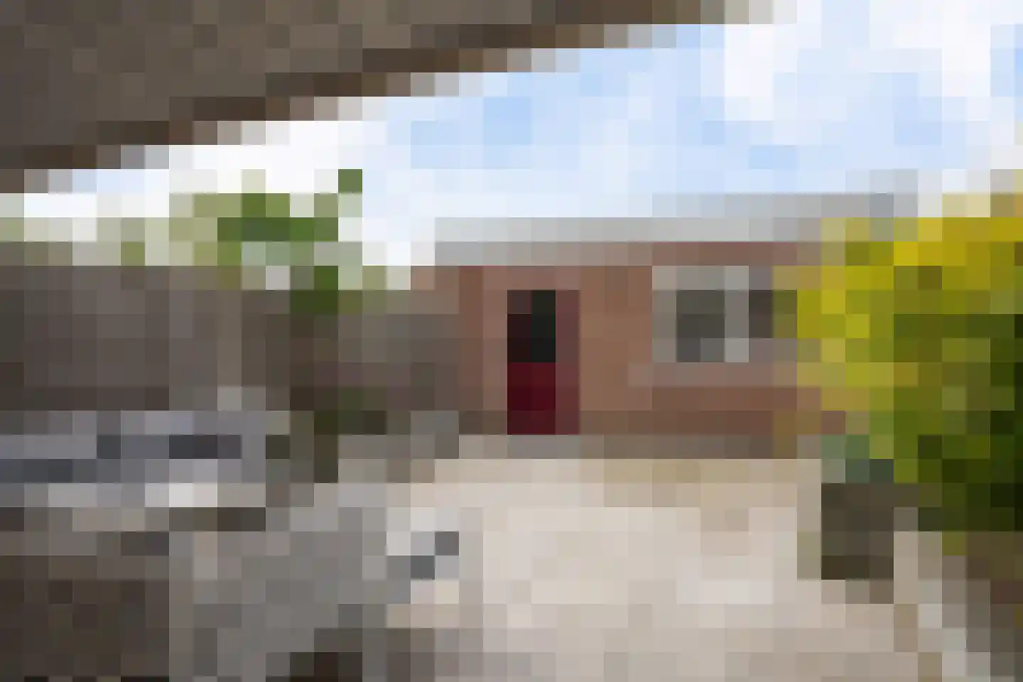 Ambachtsherenlaan 111 Zoetermeer thumbnail 26