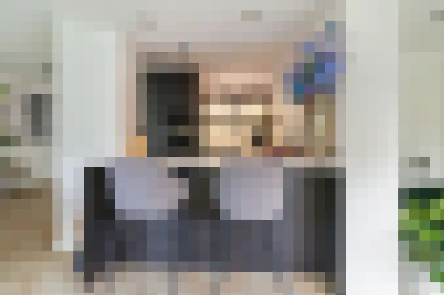 Ambachtsherenlaan 18 Mijnsheerenland thumbnail 15