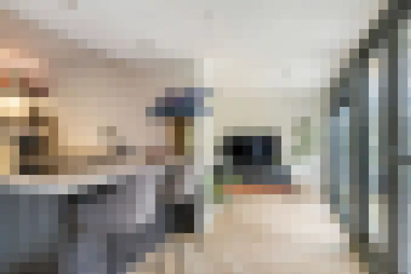 Ambachtsherenlaan 18 Mijnsheerenland thumbnail 17