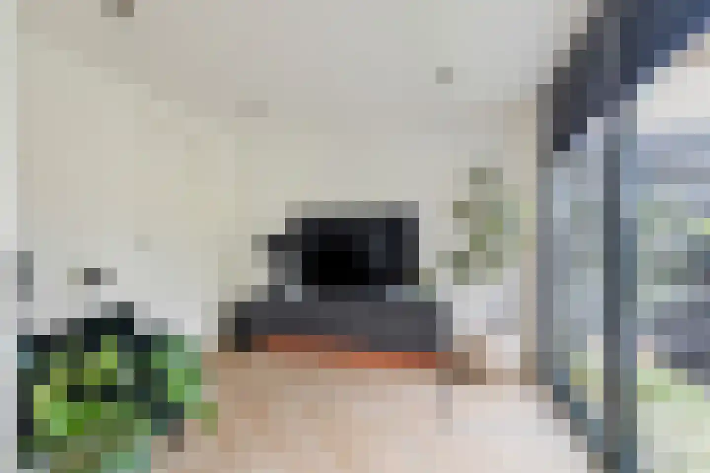 Ambachtsherenlaan 18 Mijnsheerenland thumbnail 18