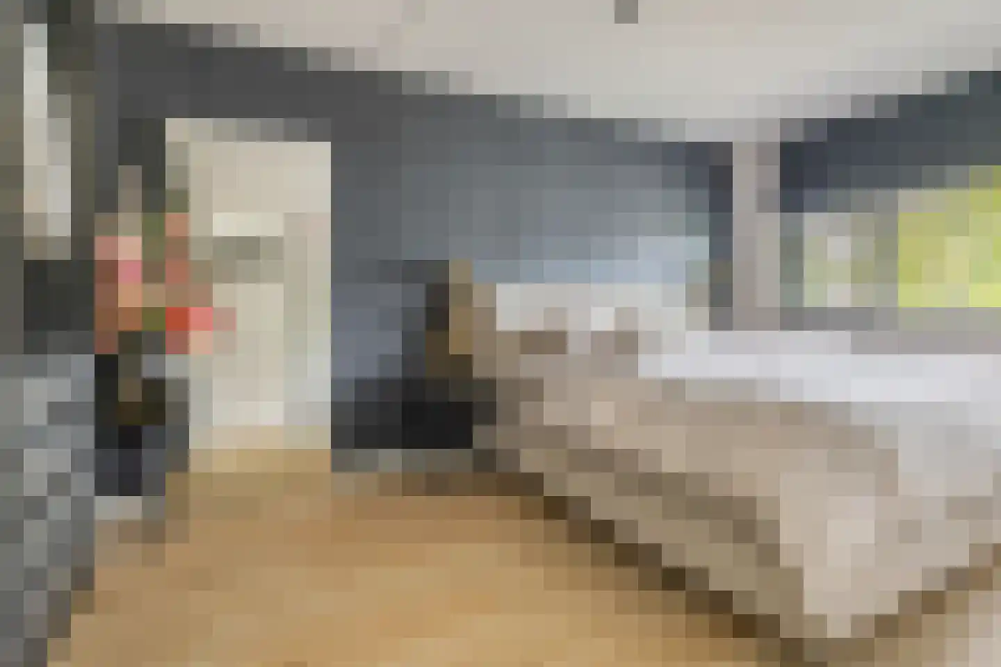 Ambachtsherenlaan 18 Mijnsheerenland thumbnail 21