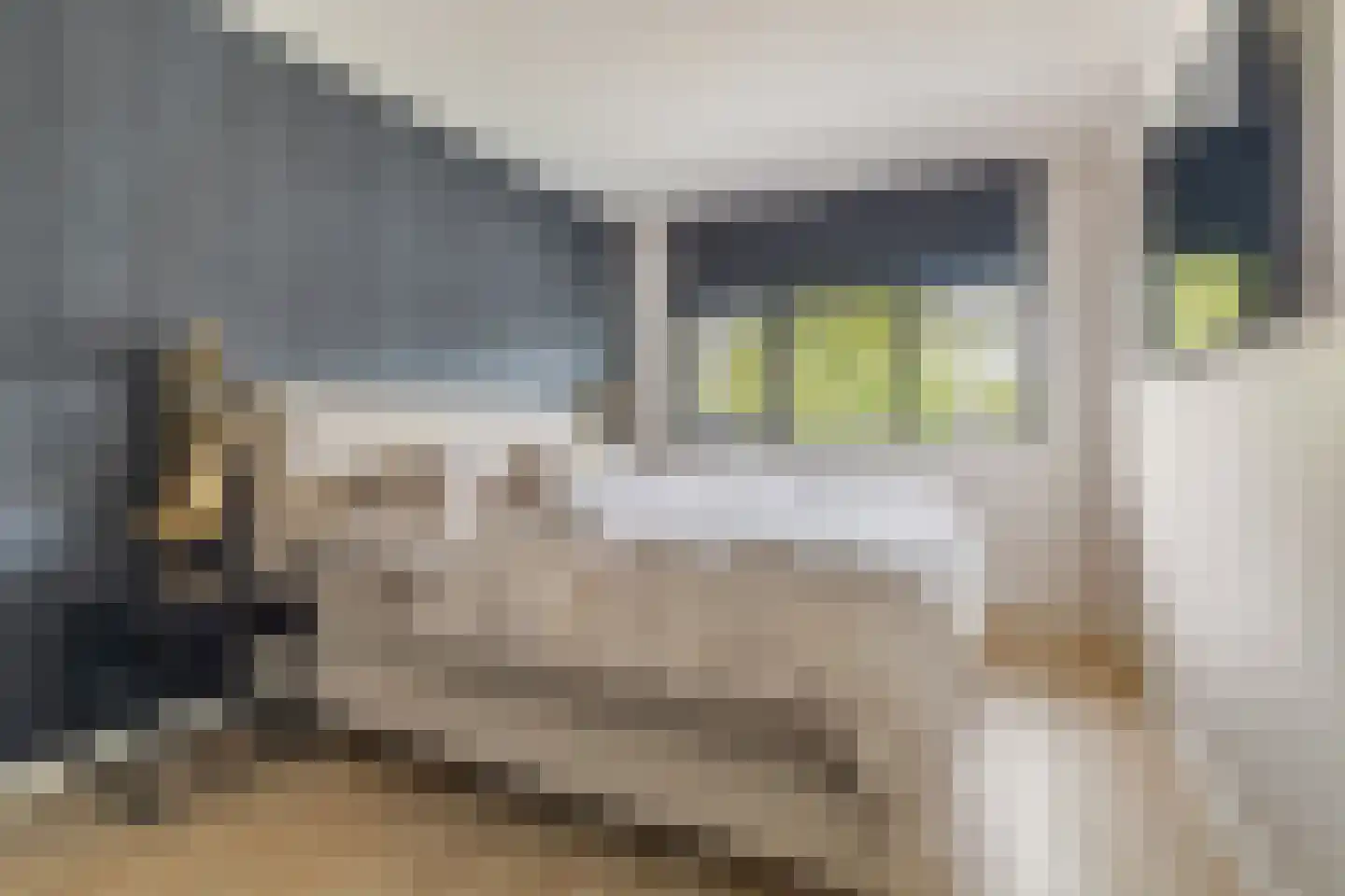 Ambachtsherenlaan 18 Mijnsheerenland thumbnail 22