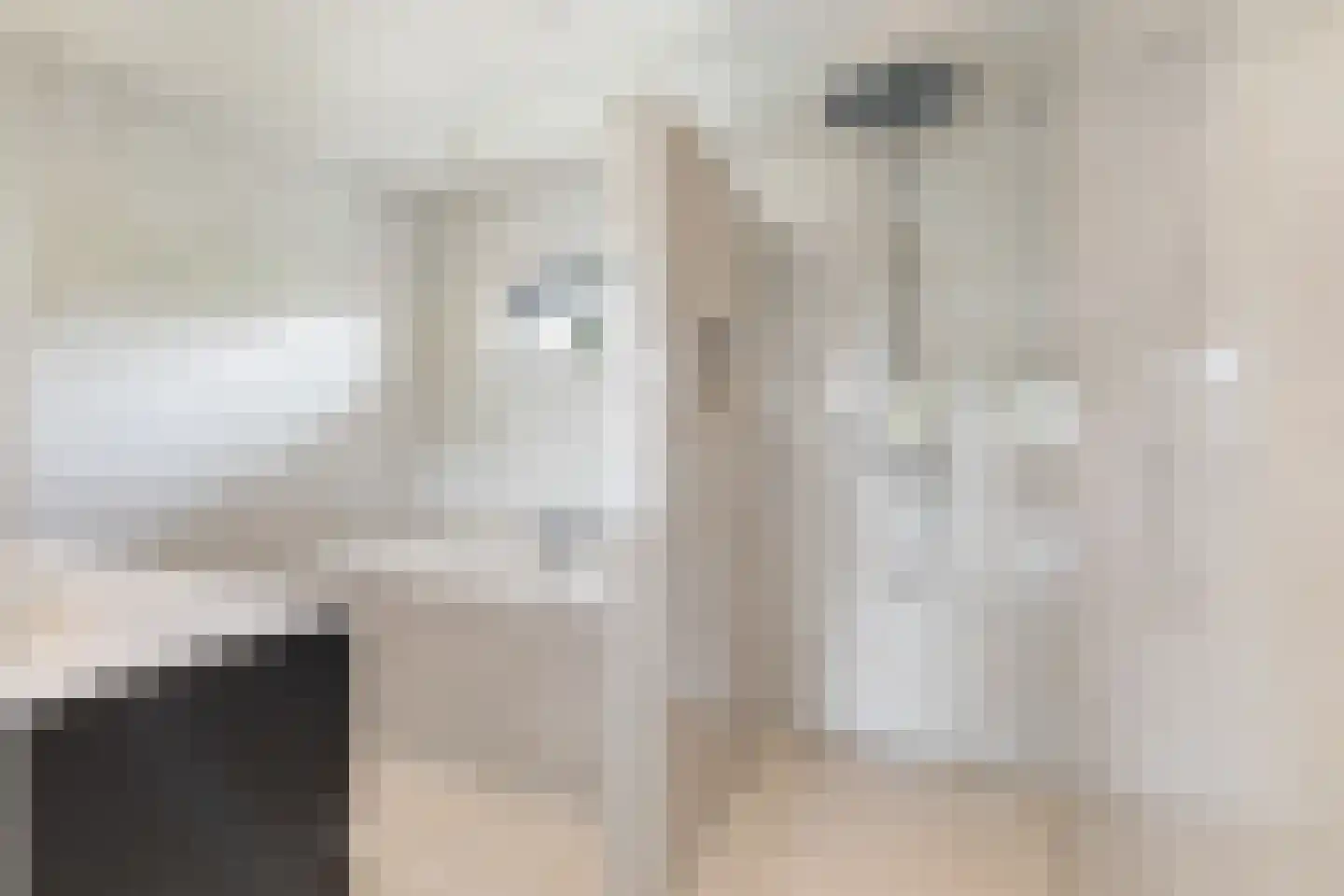 Ambachtsherenlaan 18 Mijnsheerenland thumbnail 26