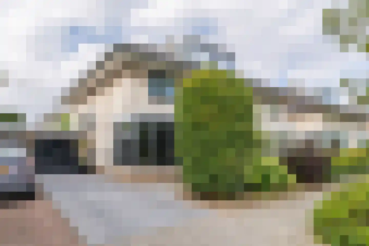 Ambachtsherenlaan 18 Mijnsheerenland thumbnail 35