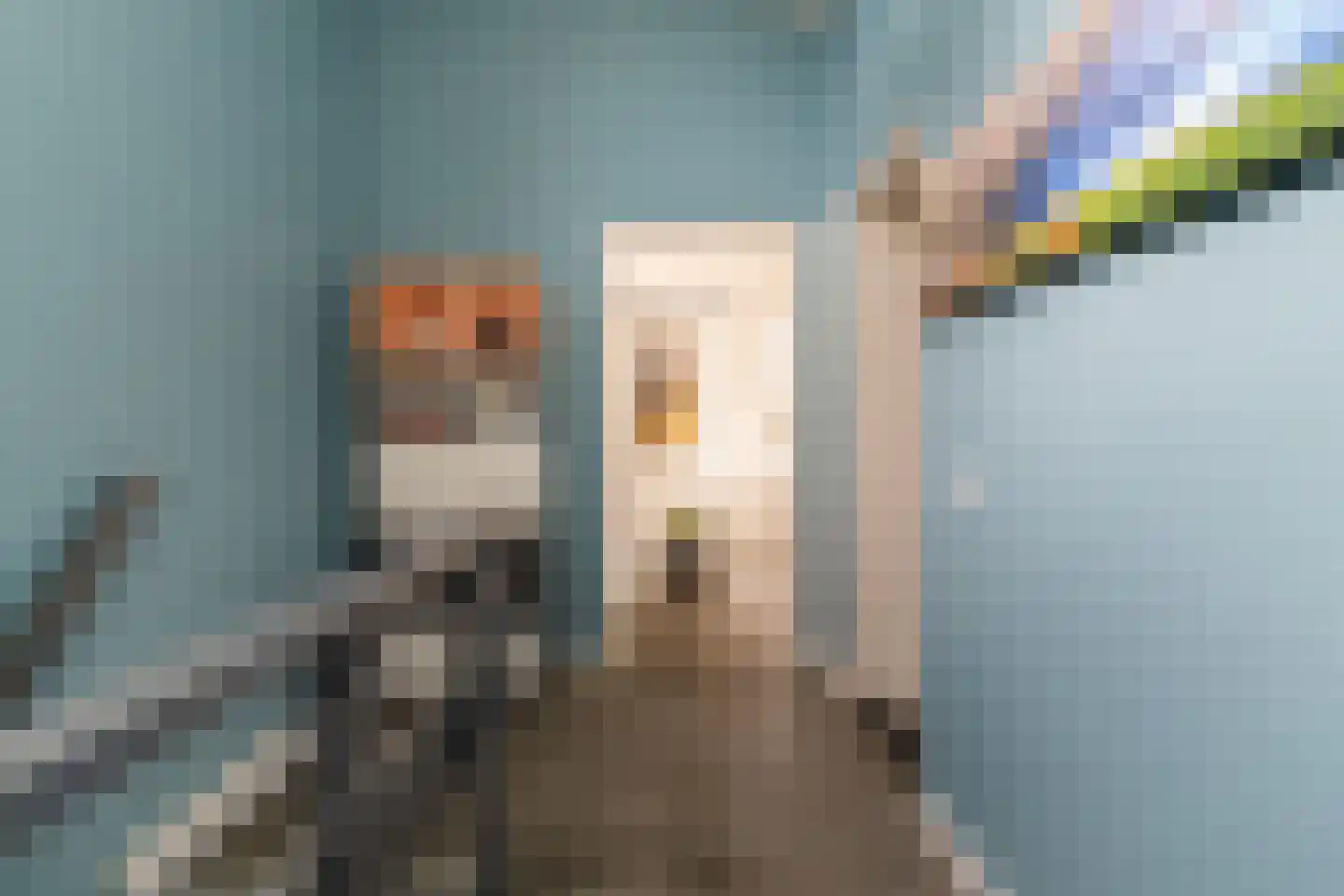 Ambachtsherenlaan 2 Waspik thumbnail 20